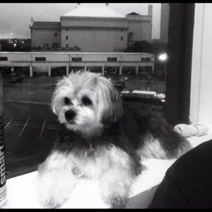 Meet your Posher, Doug